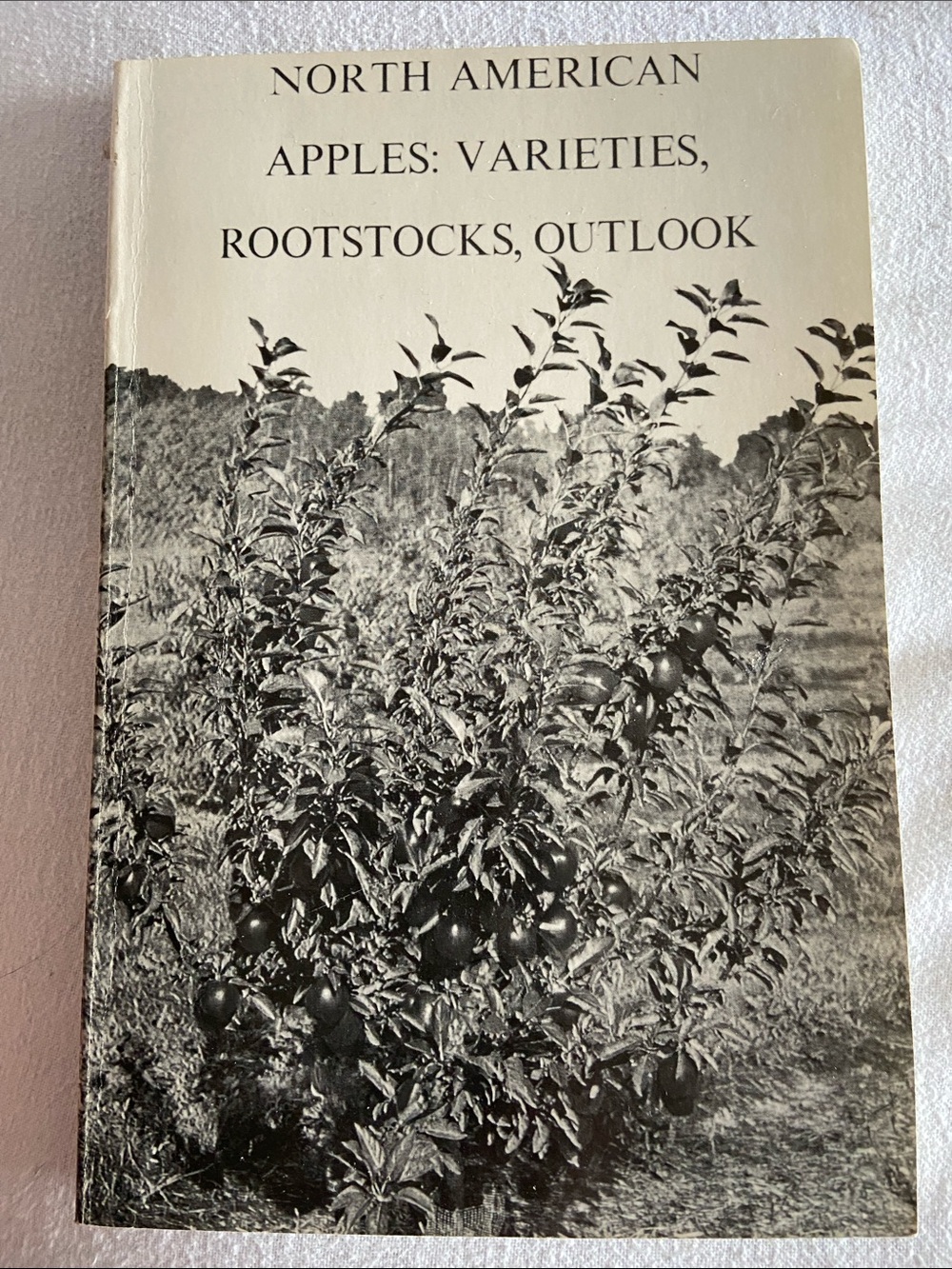 Vintage 70s 1970s Apple tree trees book Apples LEAF LEAVES BOTANICAL Garden grow